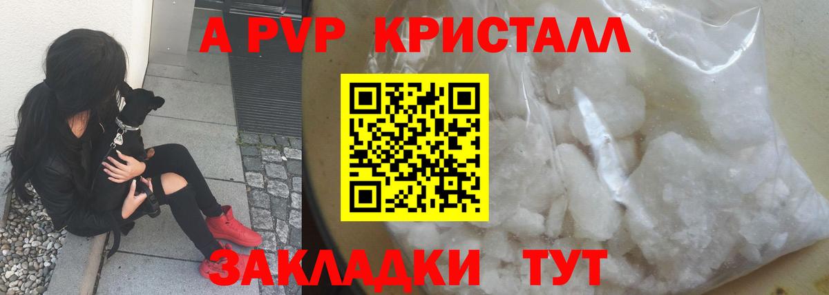 Архангельск  Альфа ПВП  А ПВП мука  Альфа ПВП СК КРИС  Вход с VPN  А ПВП крисы CK 