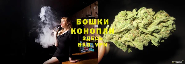 сатива Покров