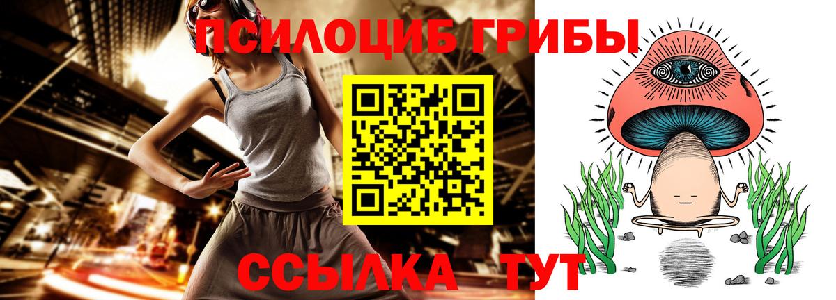 Галлюциногенные грибы Psilocybe Архангельск